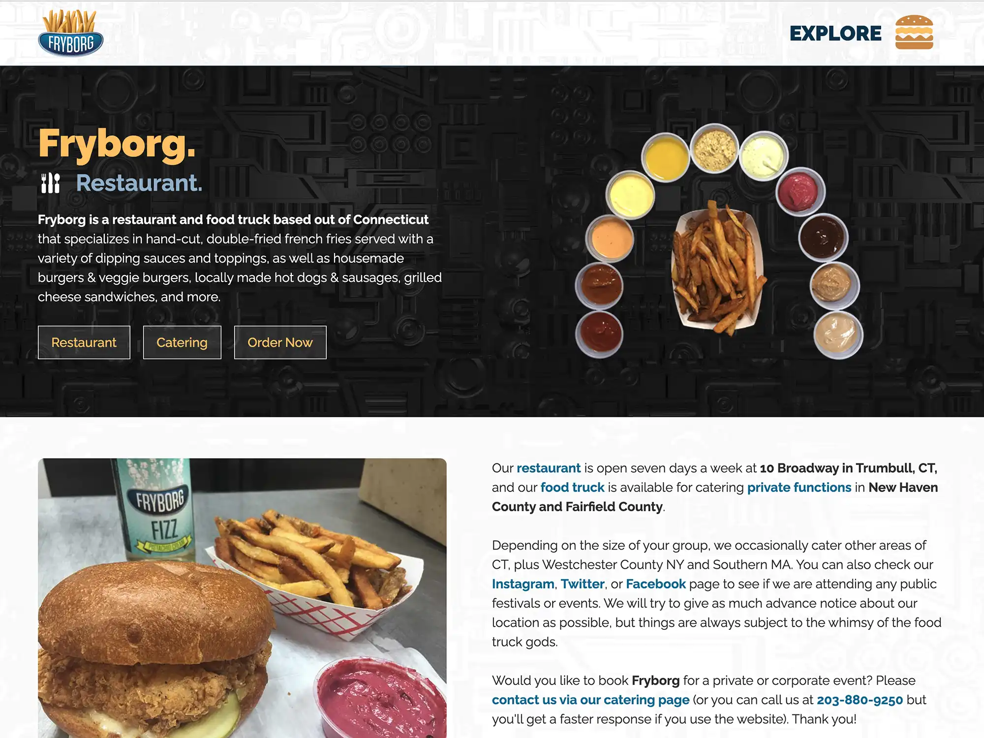 fryborg website screenshot